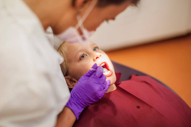 Best Chipped Tooth Repair Near Me  in Shady Hills, FL